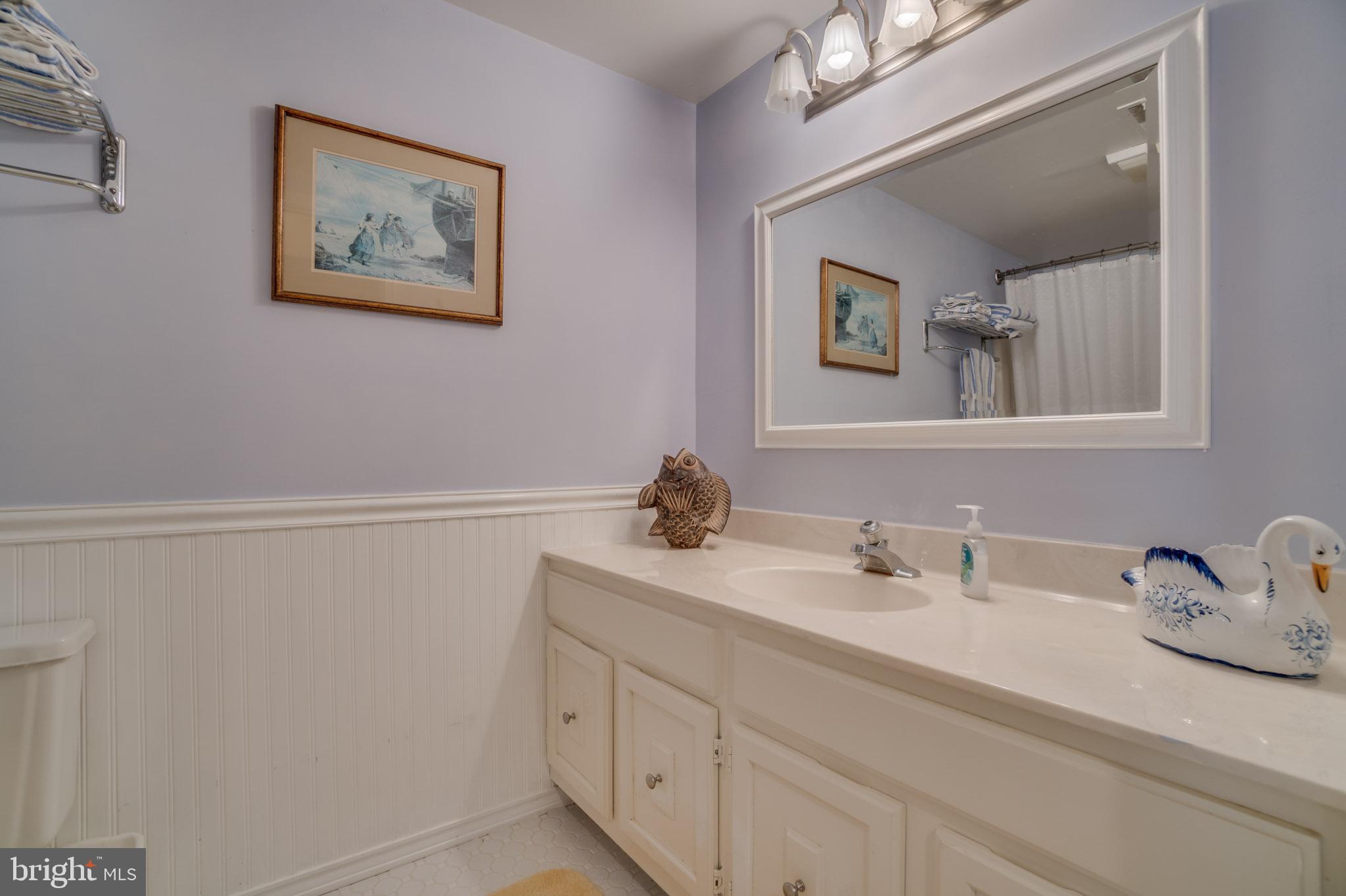 119 Greenspring Road Locust Grove, VA 22508 - Photo 30 of 57 Lower level bathroom