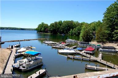 119 Greenspring Road Locust Grove, VA 22508 - Photo 50 of 57 Large Marina