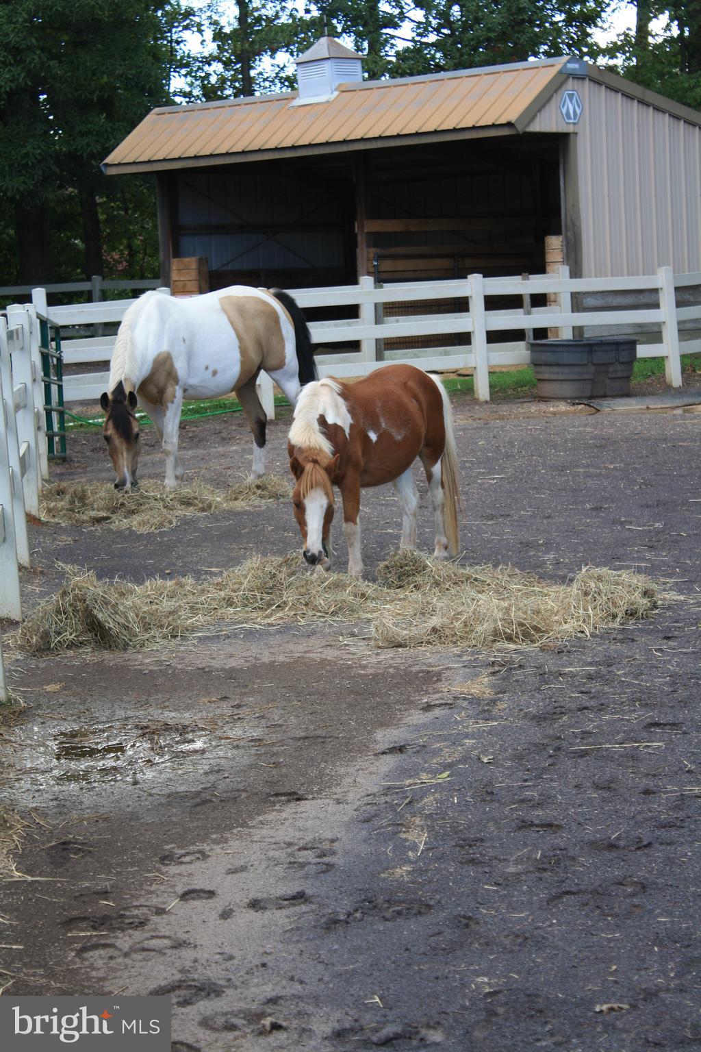 119 Greenspring Road Locust Grove, VA 22508 - Photo 51 of 57 Stables