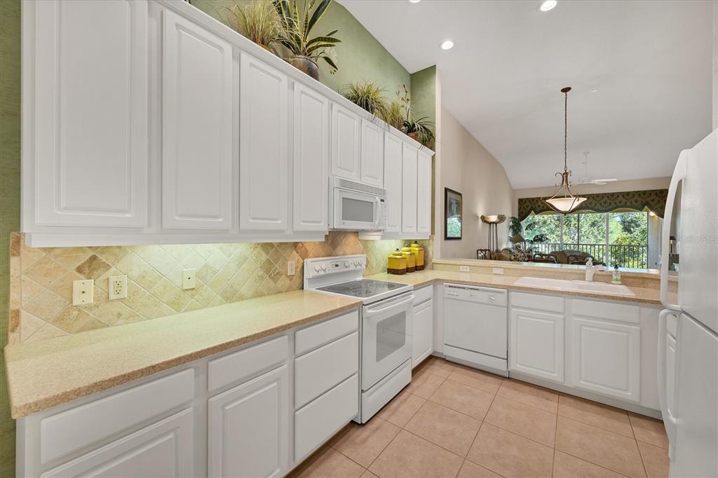 7115 Boca Grove Place, Unit 204 Lakewood Ranch, FL 34202 - Photo 13 of 40 a kitchen with a sink and cabinets