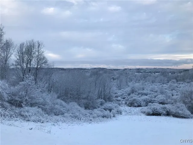 $700,000 | 6915 Kassonta Drive, De Witt, NY 13078