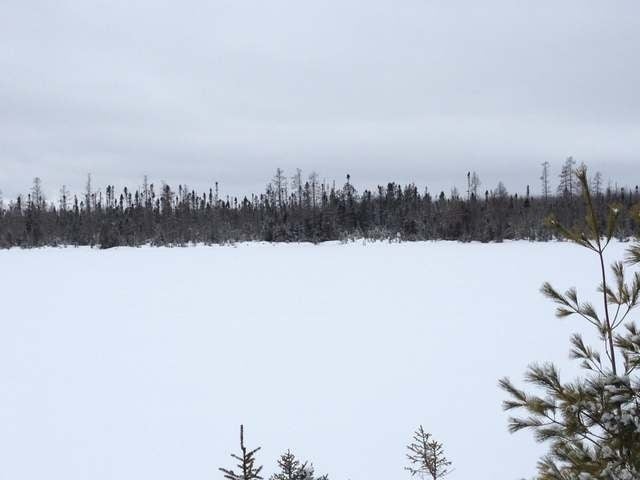 105-ac Pine Lake Road Minocqua, WI 54548 - Photo 17 of 25 Gallery Image 17