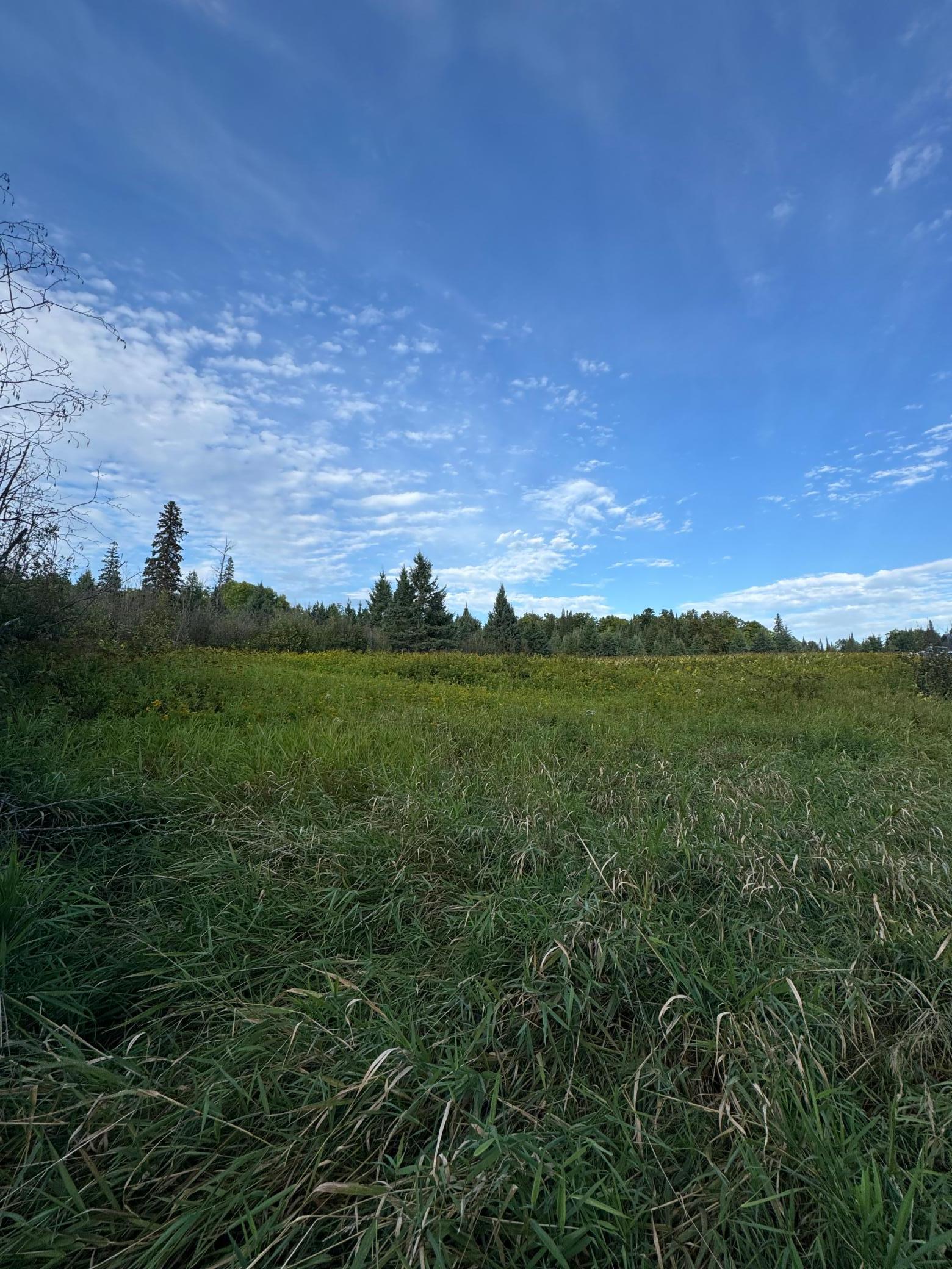 Tbd Gull Lake Loop Road Northwest Tenstrike, MN 56683 - Photo 5 of 7 Gallery Image 5