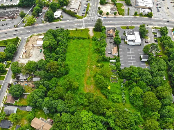 an aerial view of a house with a yard potted plants and large tree