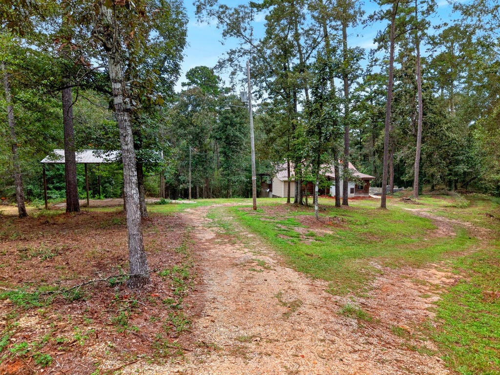 248 Albert Prince Road Carriere, MS 39426 - Photo 6 of 56 Gallery Image 6