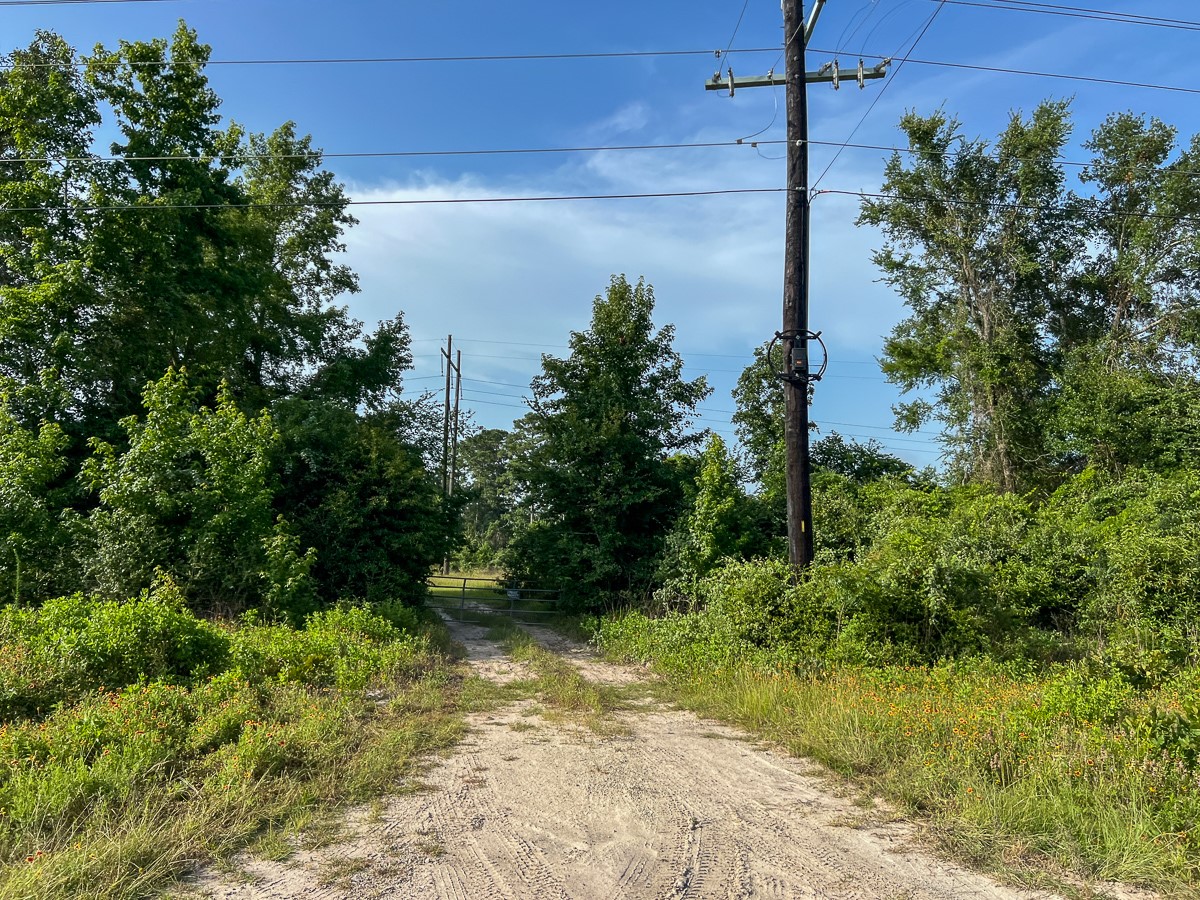 5 Fm 2989 Midway, TX 75852 - Photo 14 of 17 a view of a yard
