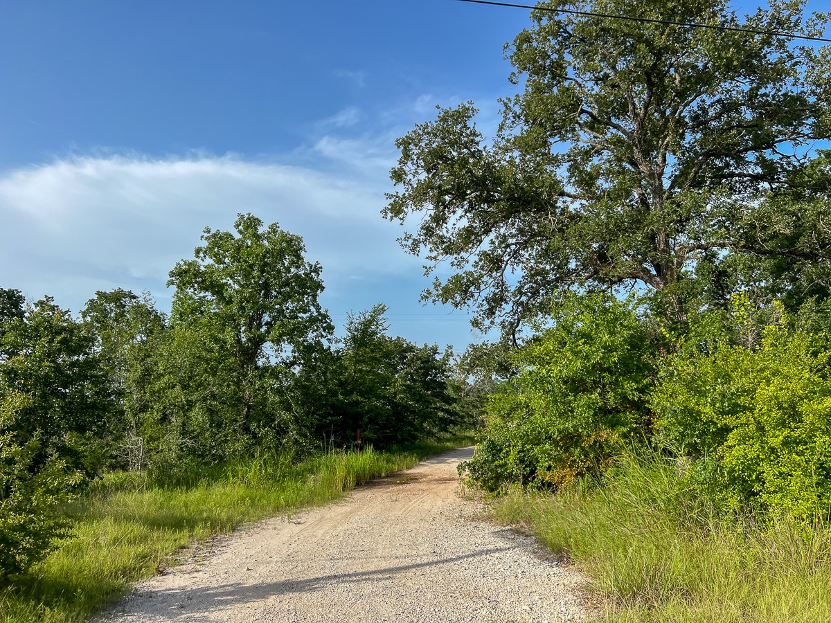 5 Fm 2989 Midway, TX 75852 - Photo 15 of 17 a view of a garden