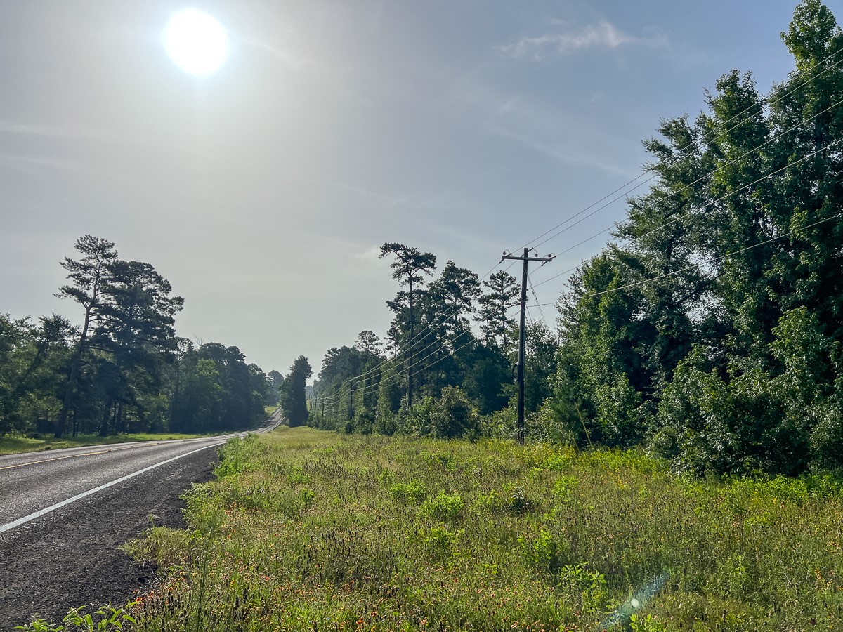 5 Fm 2989 Midway, TX 75852 - Photo 17 of 17 a view of a lush green space