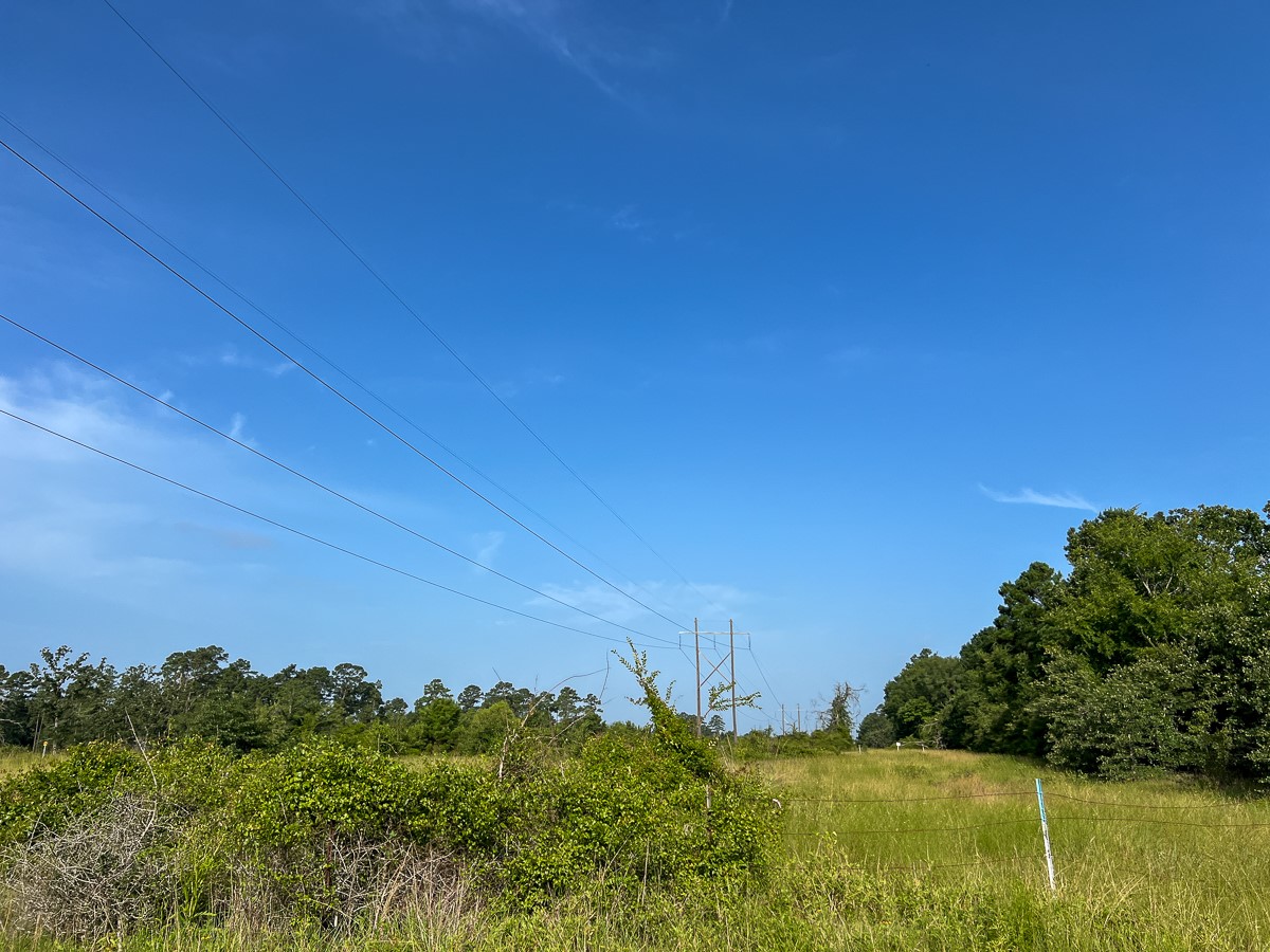 5 Fm 2989 Midway, TX 75852 - Photo 9 of 17 a view of a bunch of trees