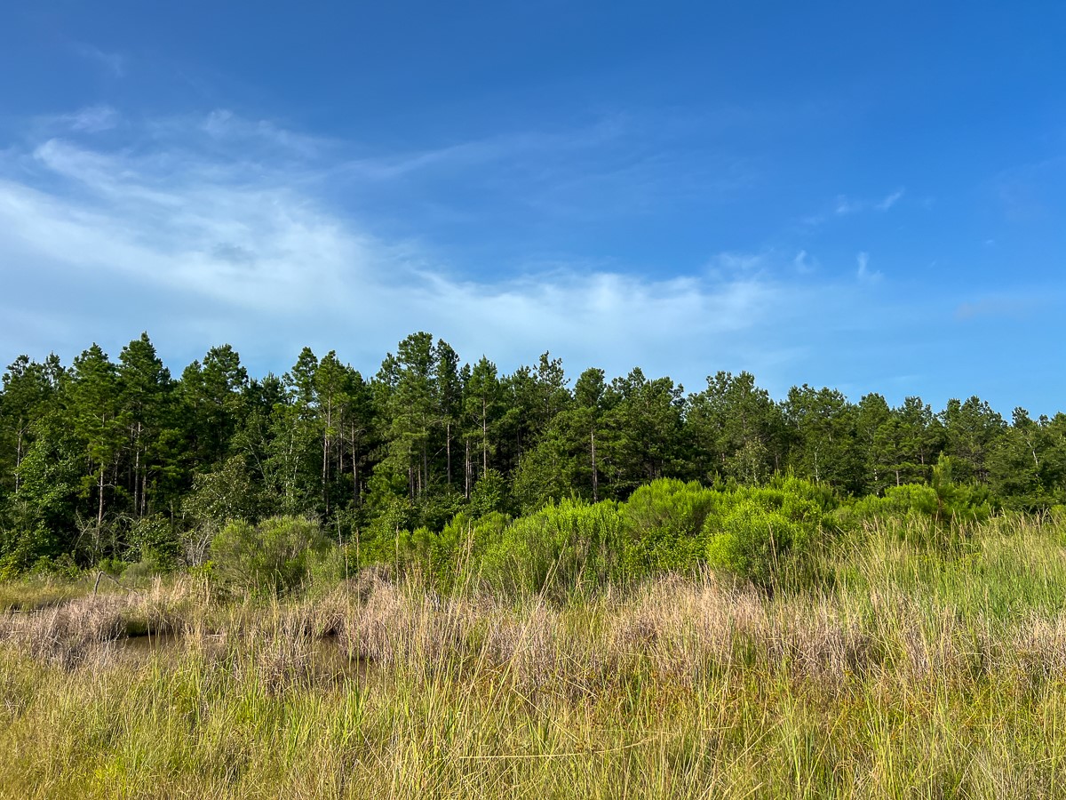 5 Fm 2989 Midway, TX 75852 - Photo 10 of 17 a view of a lake and green valley