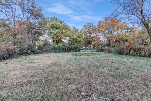 a view of a big yard with plants and large trees