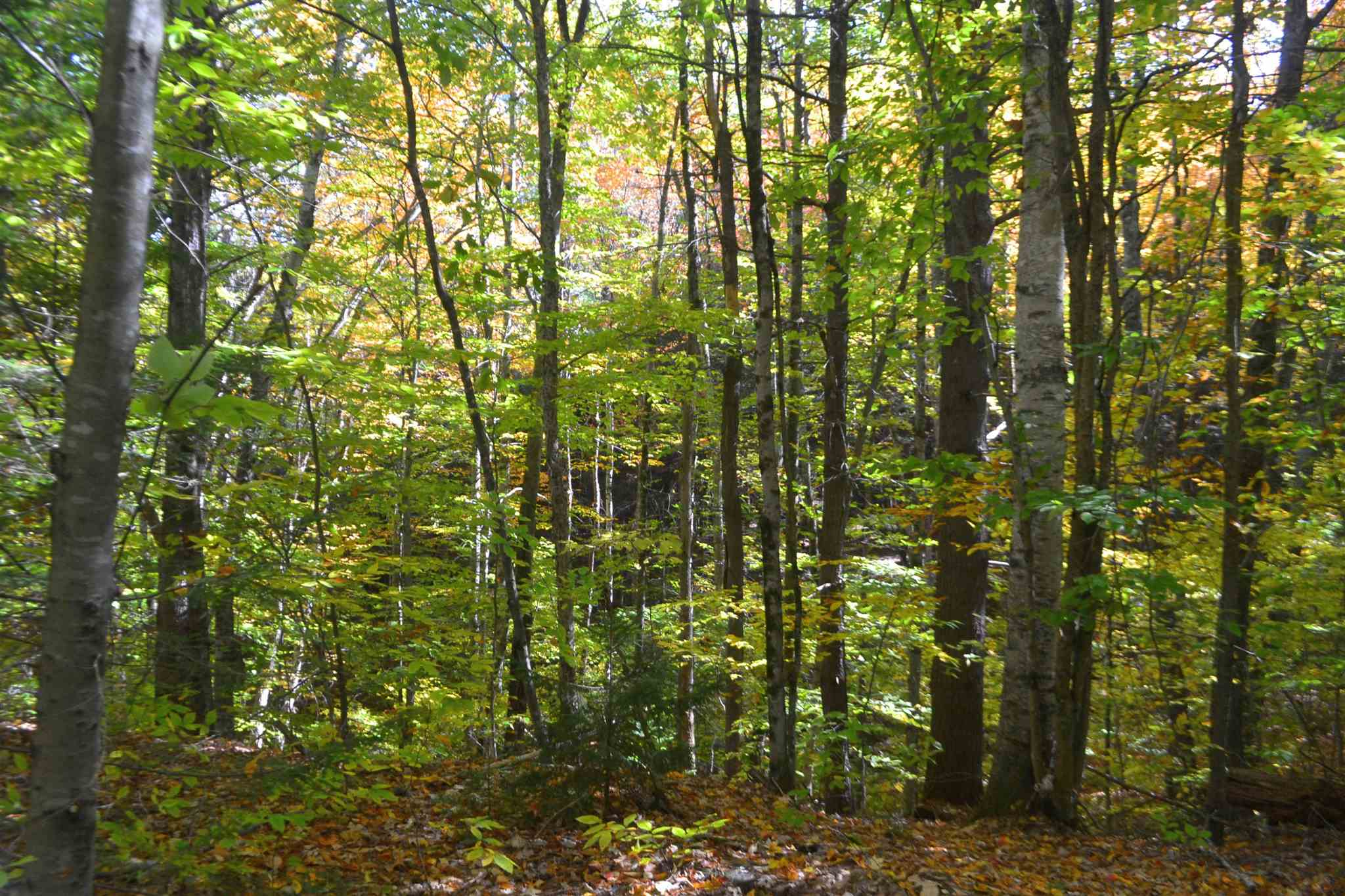 200 Kelley Pond Road New Hampton, NH 03256 - Photo 12 of 38