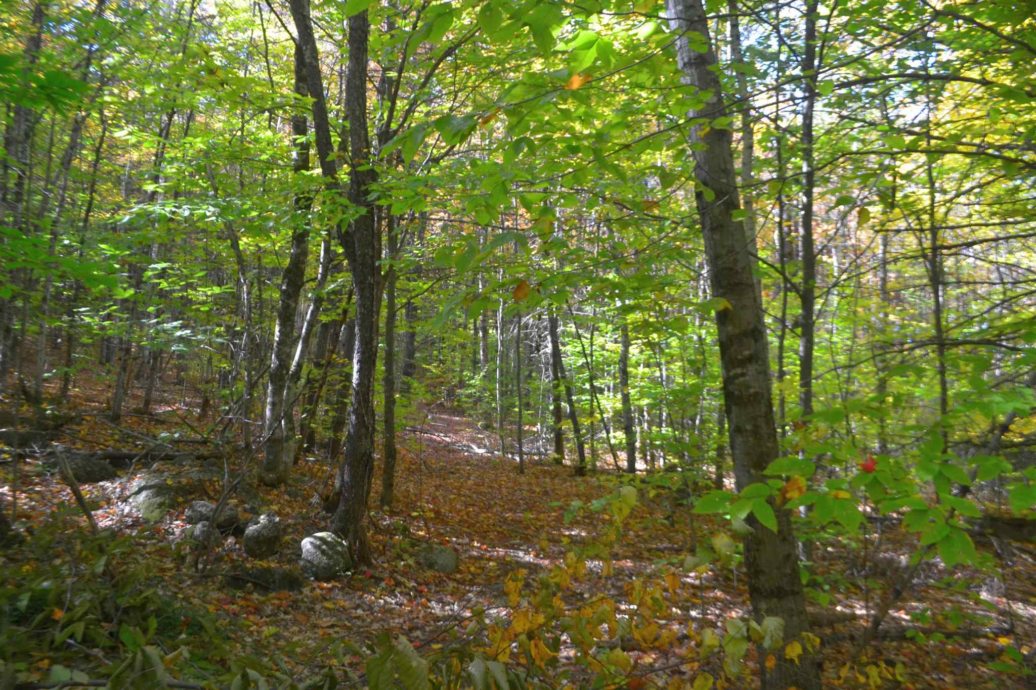 200 Kelley Pond Road New Hampton, NH 03256 - Photo 13 of 38