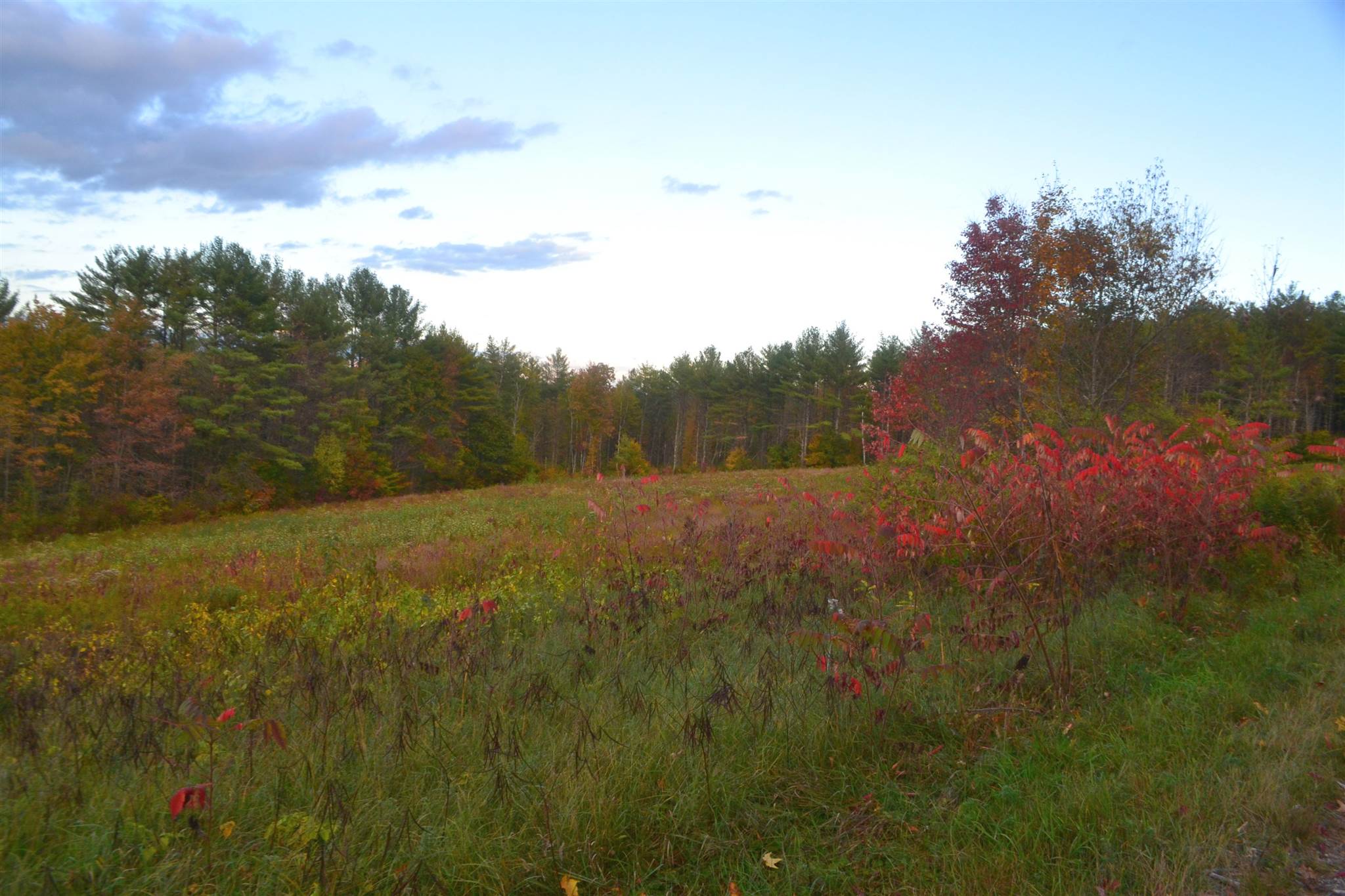 200 Kelley Pond Road New Hampton, NH 03256 - Photo 18 of 38