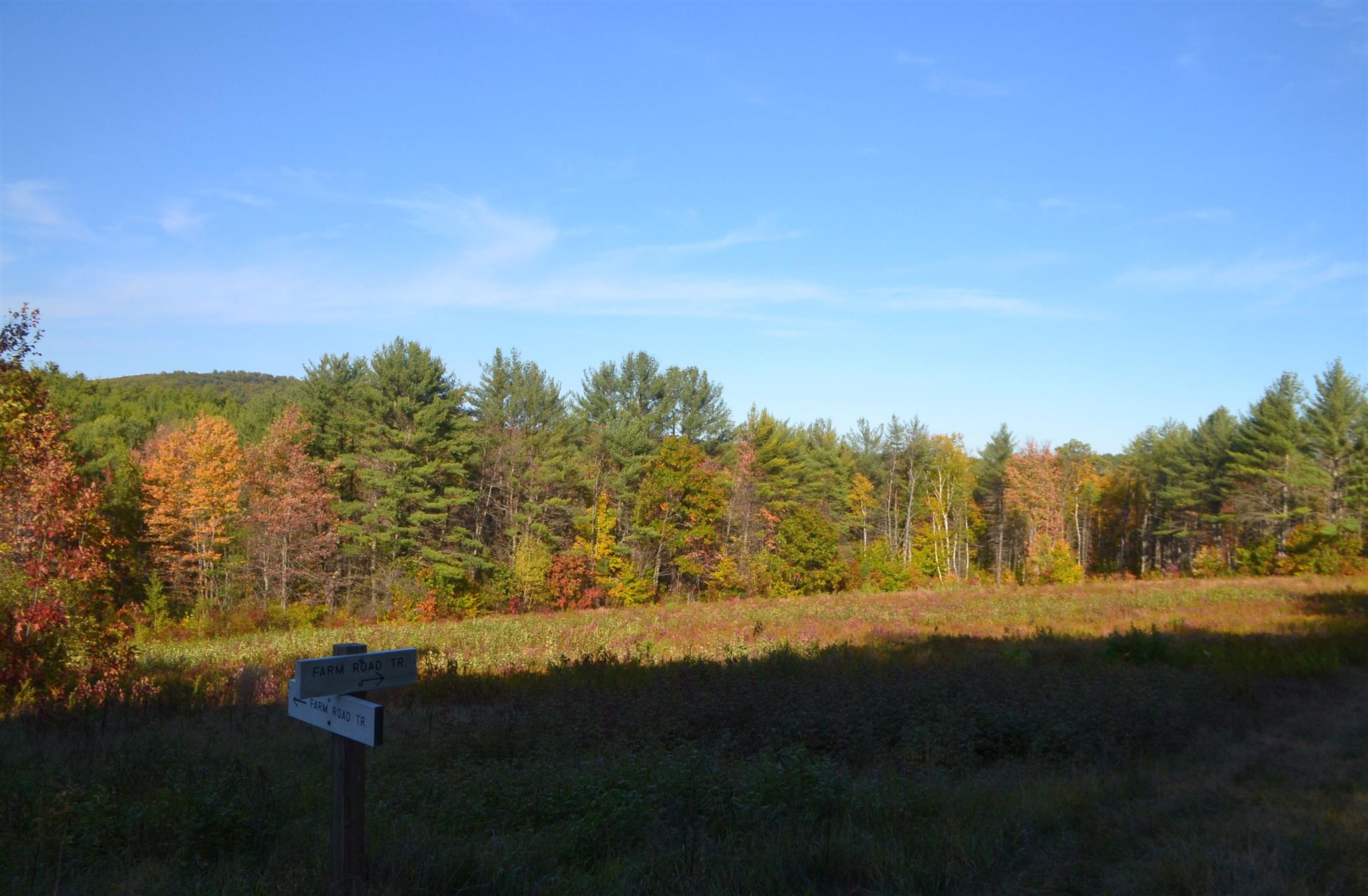 200 Kelley Pond Road New Hampton, NH 03256 - Photo 20 of 38