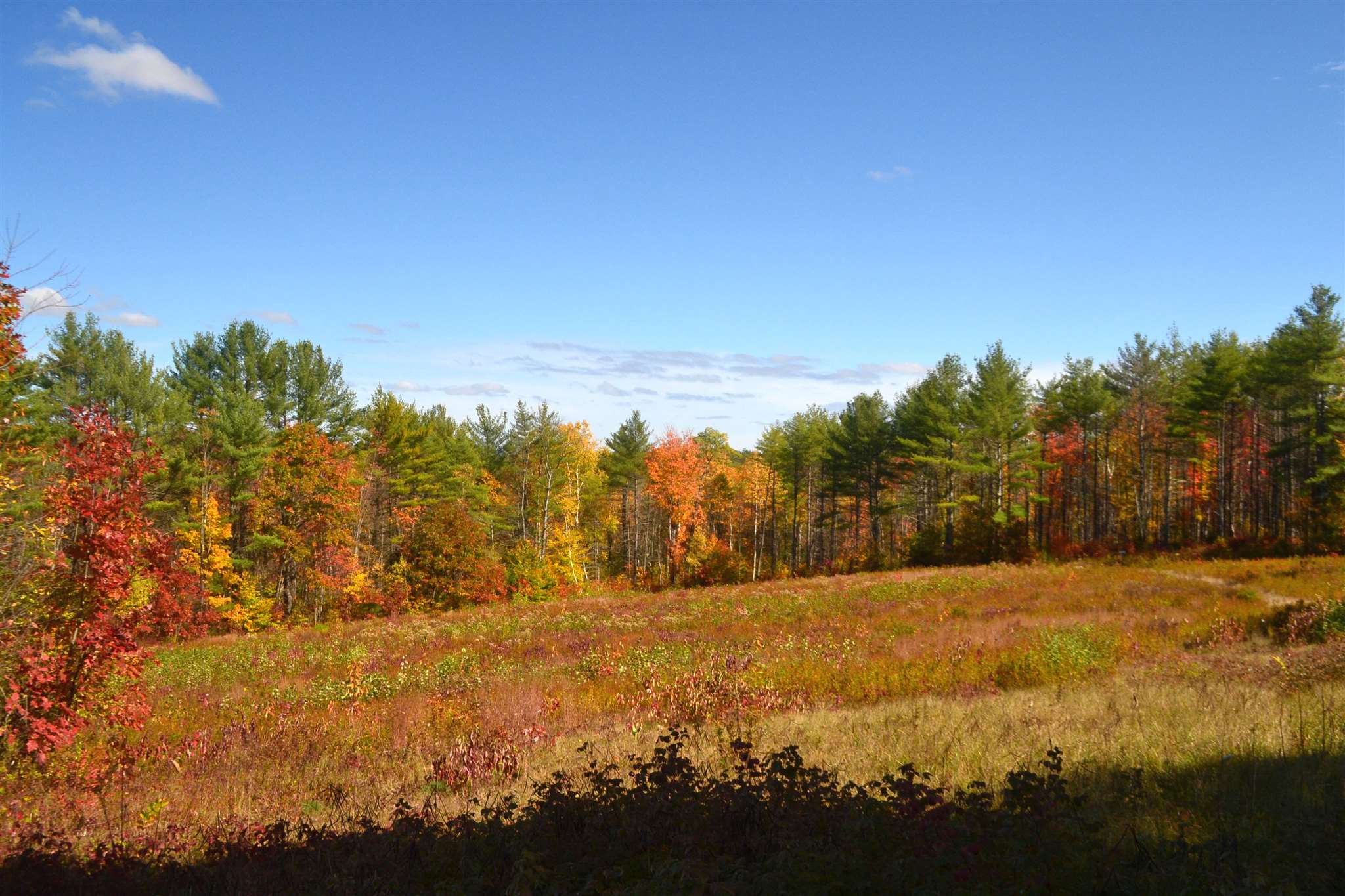 200 Kelley Pond Road New Hampton, NH 03256 - Photo 3 of 38