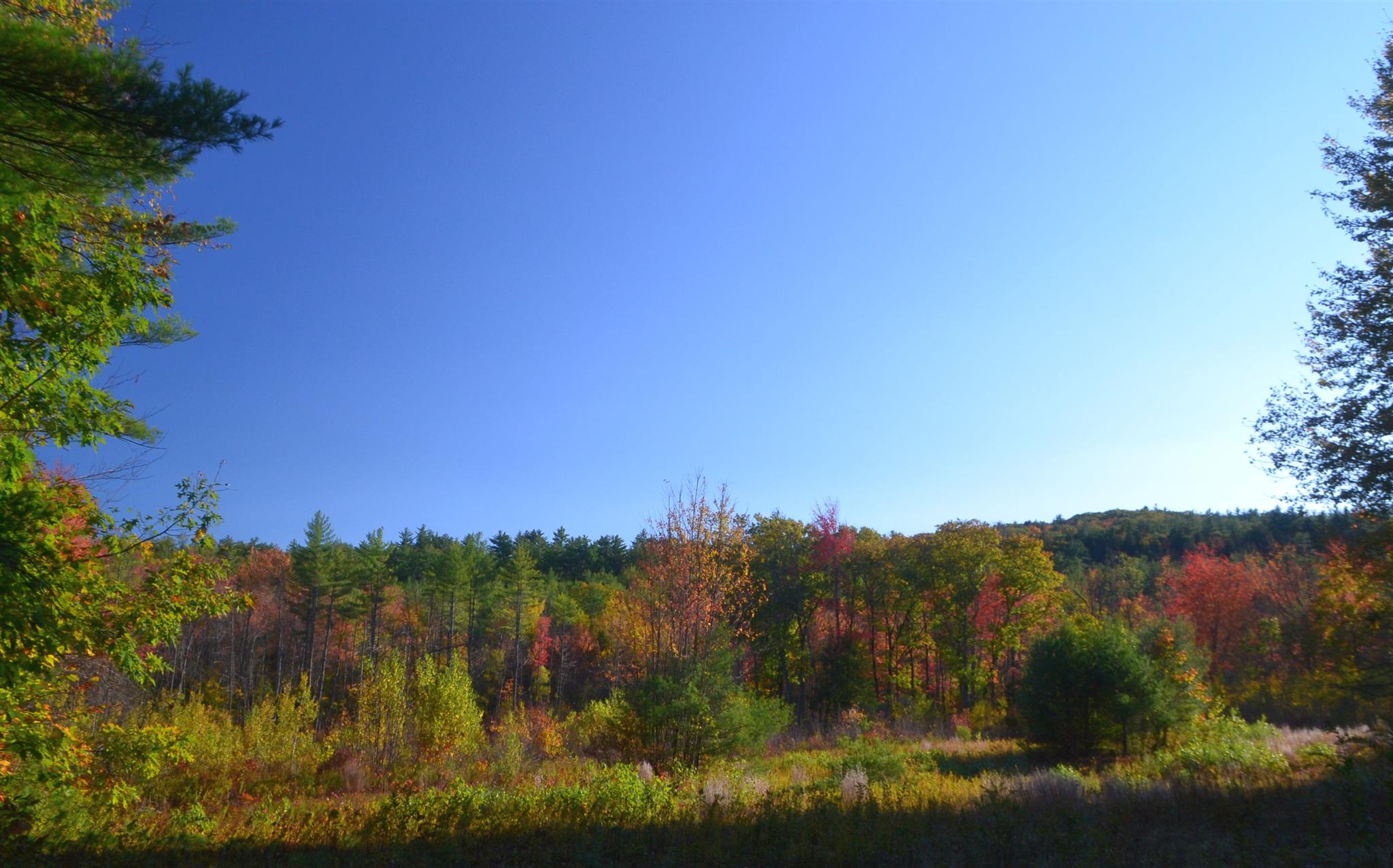 200 Kelley Pond Road New Hampton, NH 03256 - Photo 21 of 38