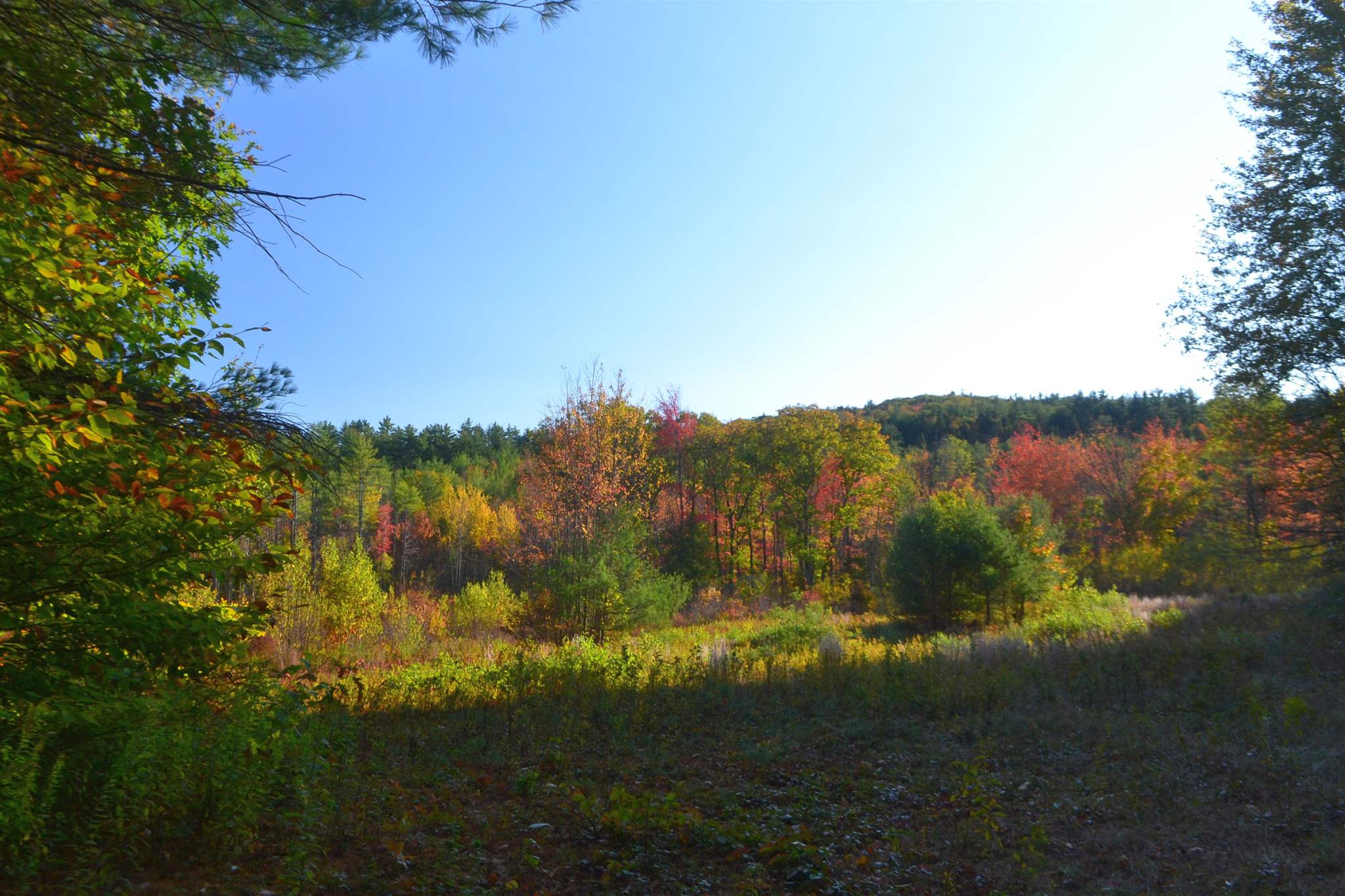 200 Kelley Pond Road New Hampton, NH 03256 - Photo 22 of 38