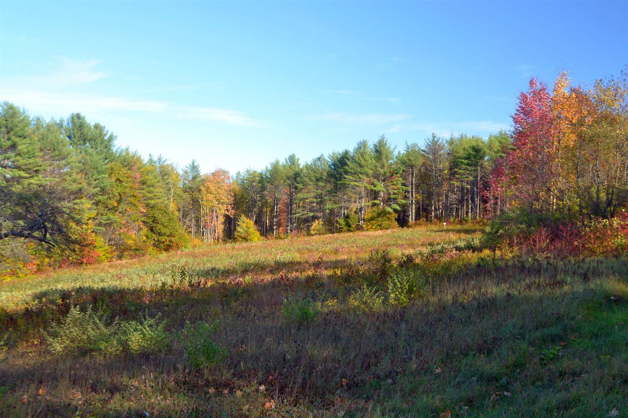 200 Kelley Pond Road New Hampton, NH 03256 - Photo 23 of 38