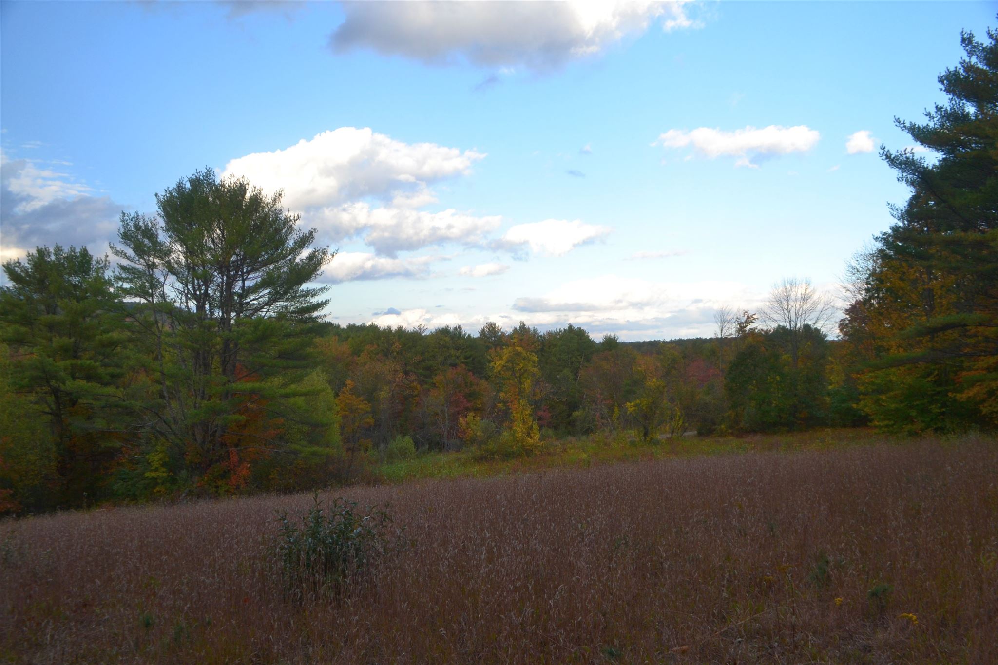 200 Kelley Pond Road New Hampton, NH 03256 - Photo 27 of 38