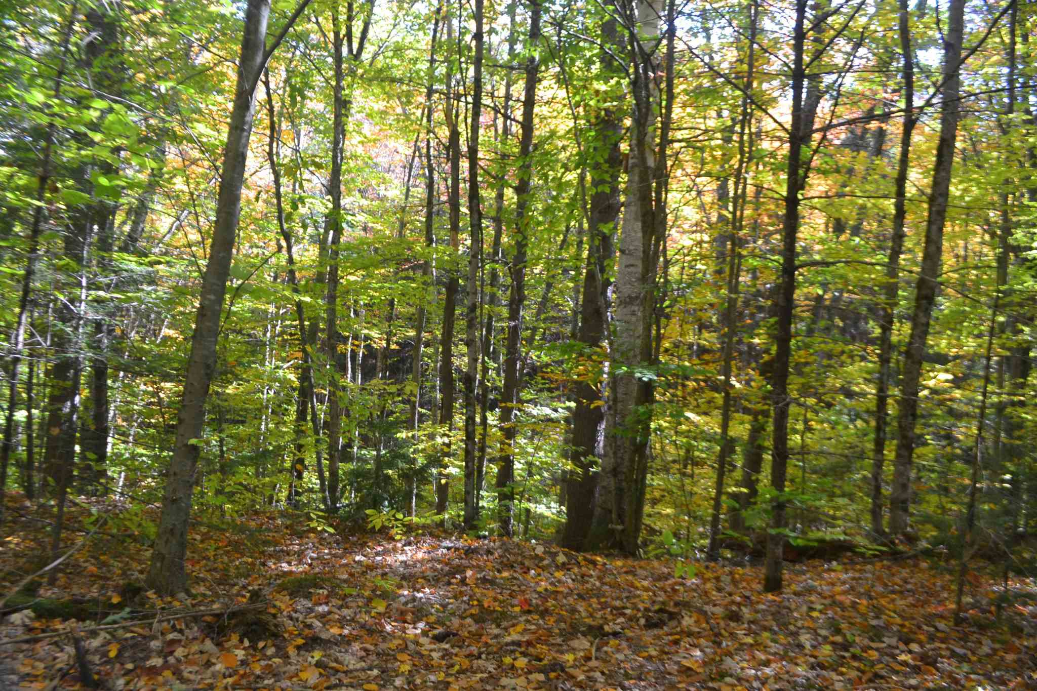 200 Kelley Pond Road New Hampton, NH 03256 - Photo 7 of 38