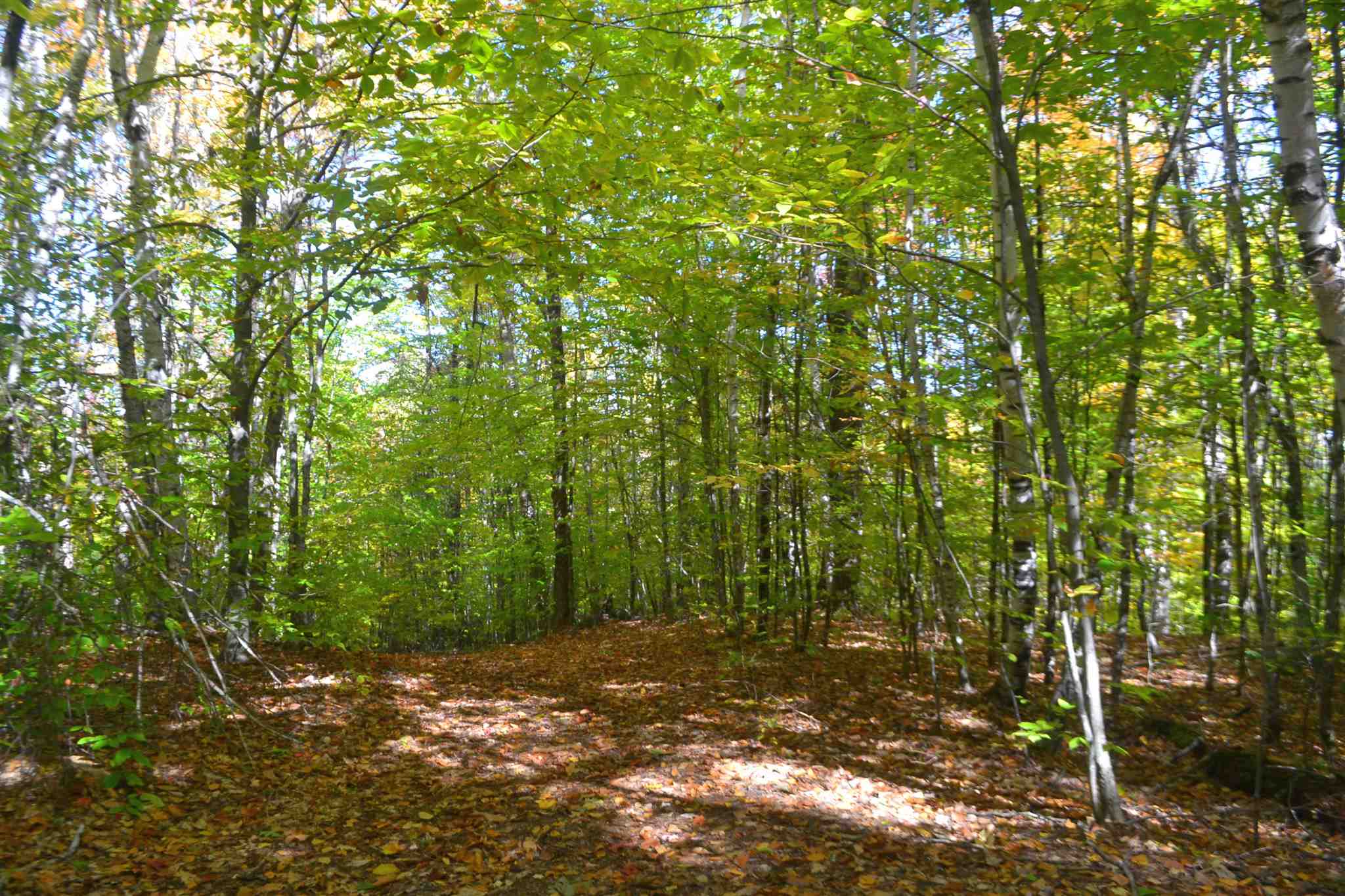200 Kelley Pond Road New Hampton, NH 03256 - Photo 10 of 38