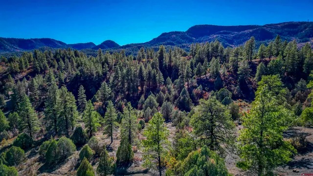 a view of a city with a lush green forest
