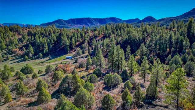 a view of a lake with a yard