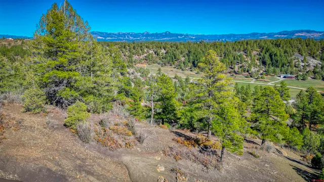 a view of a city and a mountain