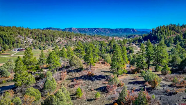 a view of a green field with mountains in the background