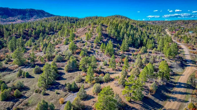 a view of a lot of trees and bushes