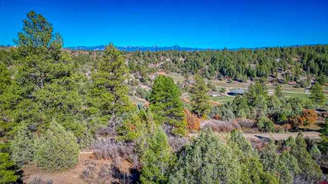 a view of a area with a yard