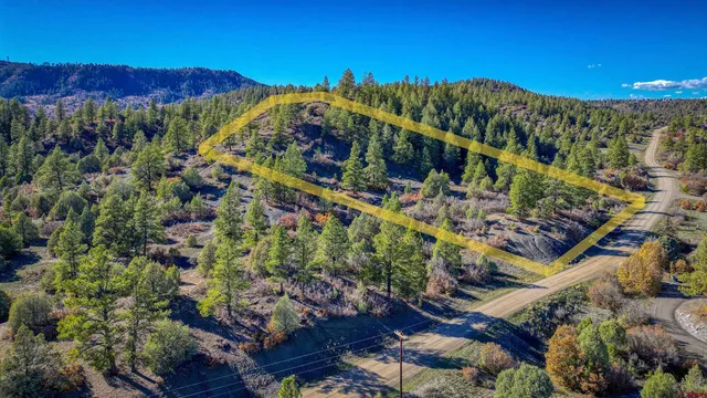 a view of a yard with a tree