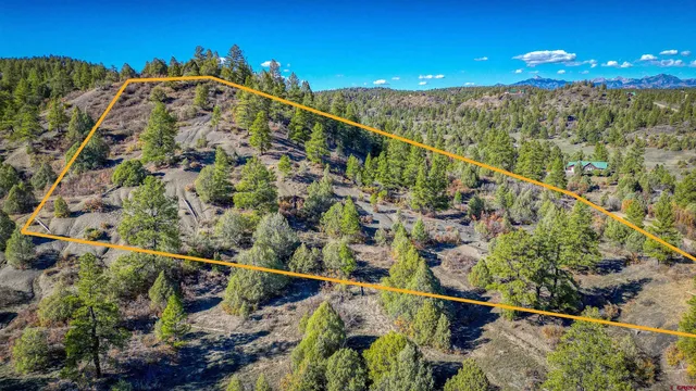a view of a dry yard with trees