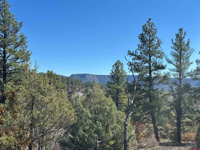 a view of a large yard with lots of green space