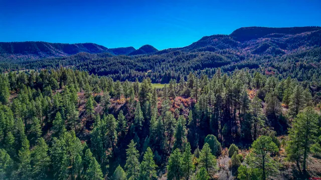 a view of a city from a city