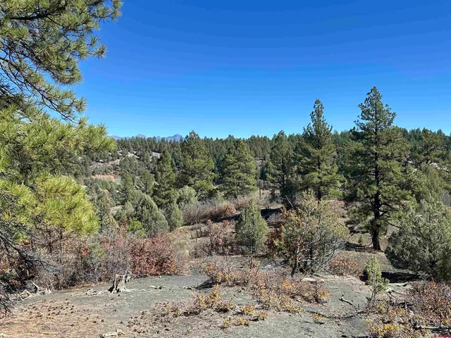 a view of a city with lush green forest
