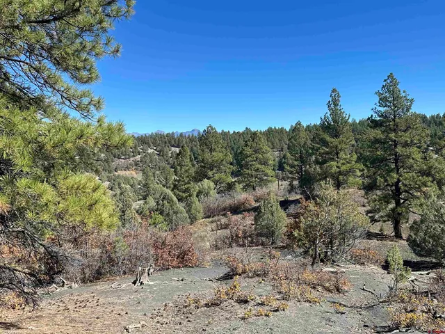 a view of a city with a mountain in the background