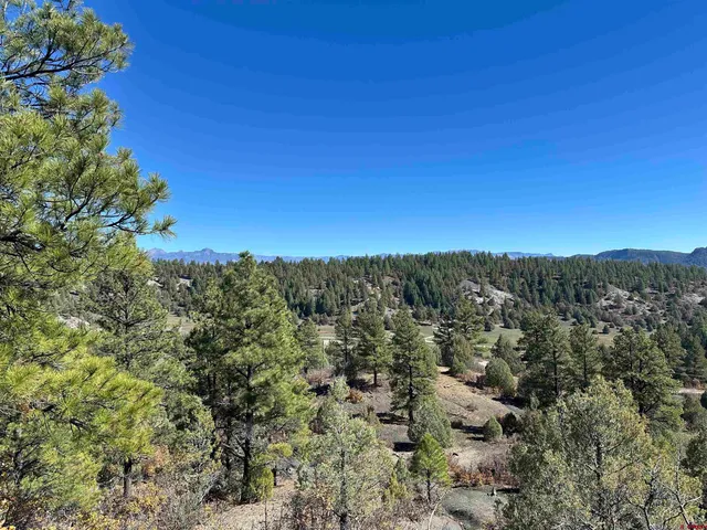 a view of a city with lush green forest