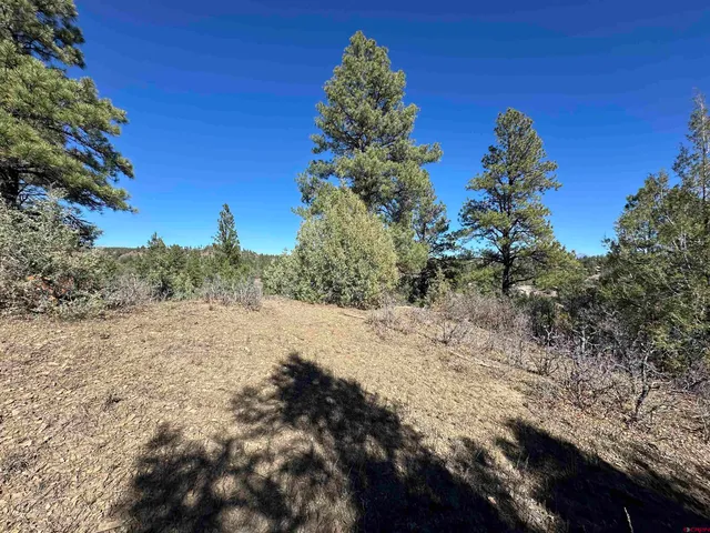 $165,000 | 1081 Harvard Avenue, Pagosa Springs, CO 81147