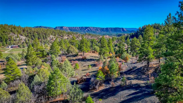 a view of a building with a garden