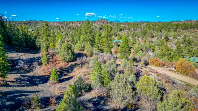 a view of a bunch of flowers and trees