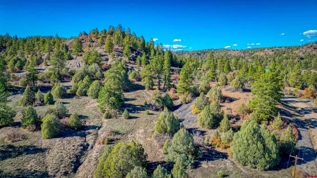 a view of a large yard with lots of green space