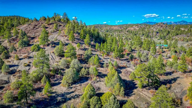 a view of a city and flowers