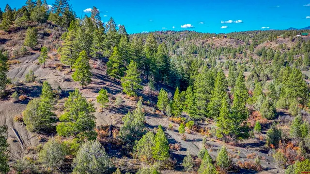 a view of a room with a plant