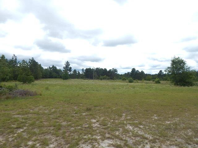 1008 Kedron Church Road Aiken, SC 29805 - Photo 1 of 1
