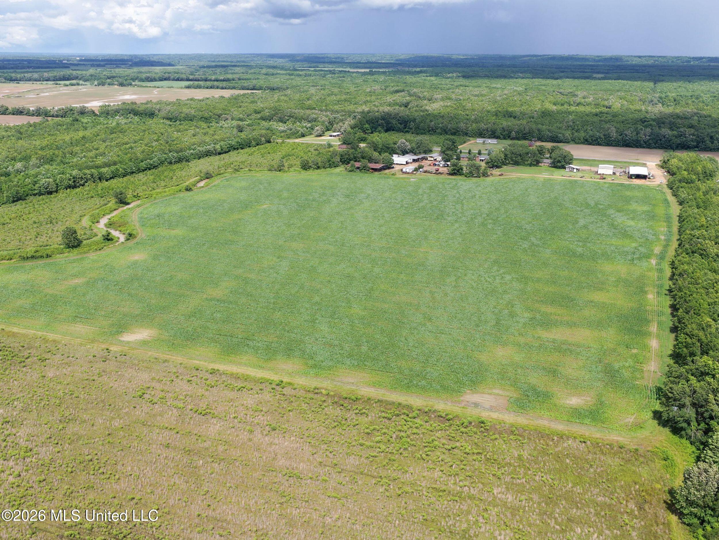 Dummyline Road Batesville, MS 38606 - Photo 17 of 44 2tndllnd5