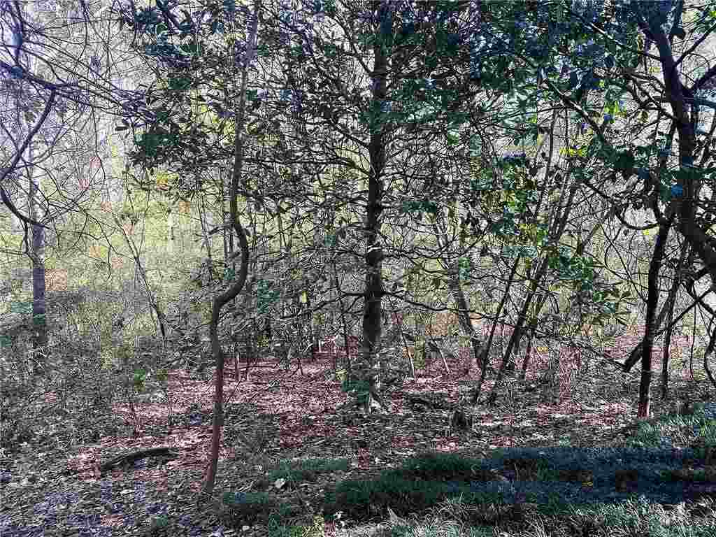 70386 Alice Cutrer Road Kentwood, LA 70444 - Photo 14 of 15 Gallery Image 14