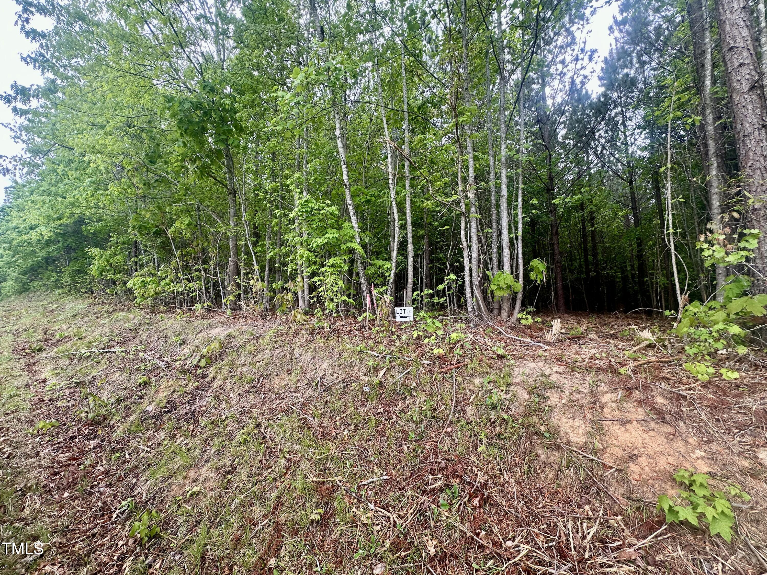 Lot 2 Range Road Rougemont, NC 27572 - Photo 5 of 7 a view of outdoor space and green space