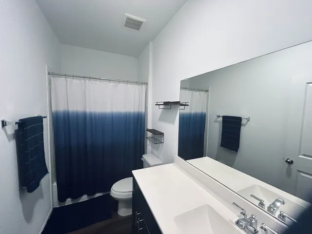 a bathroom with a sink and a toilet